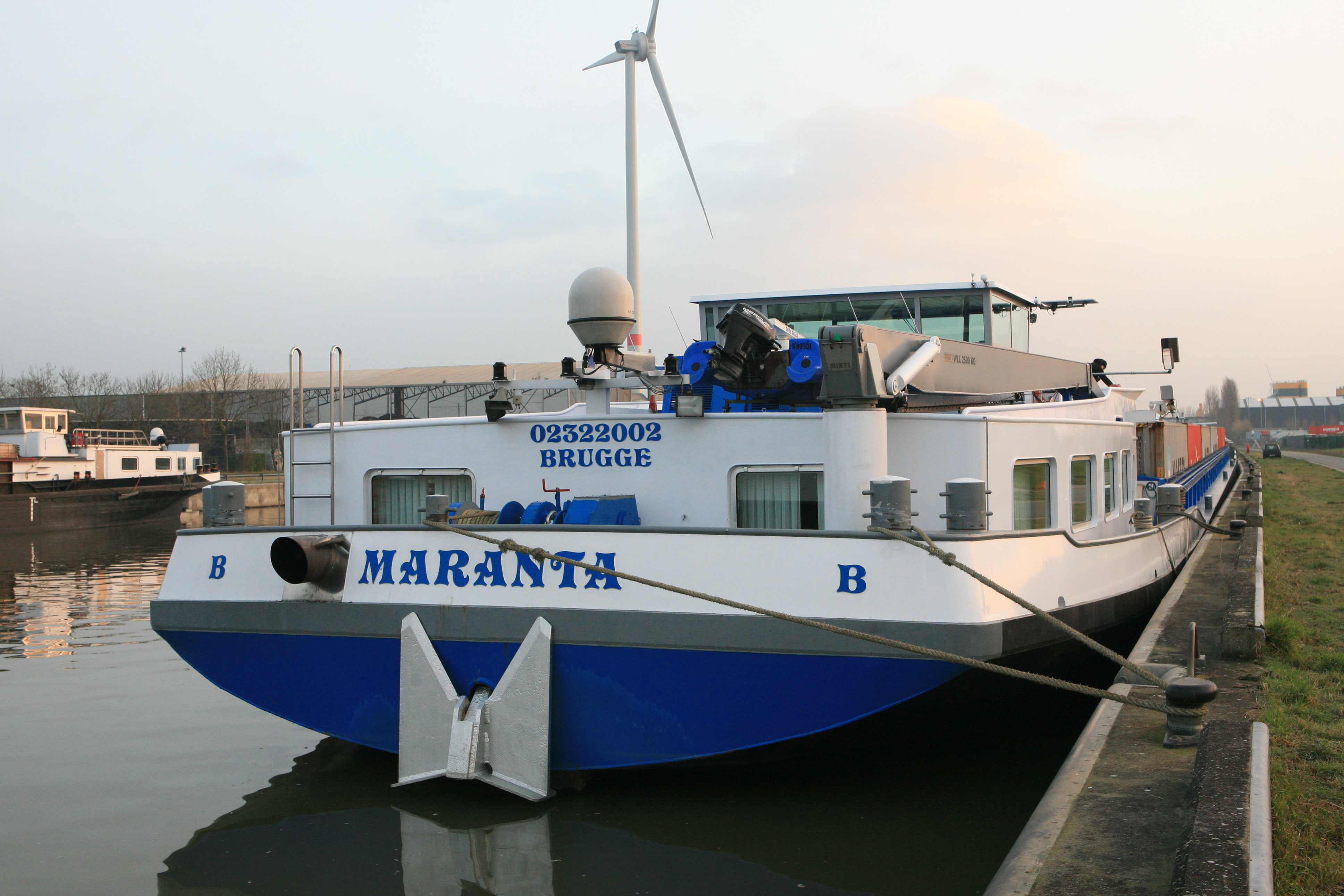 Maranta — foto 1